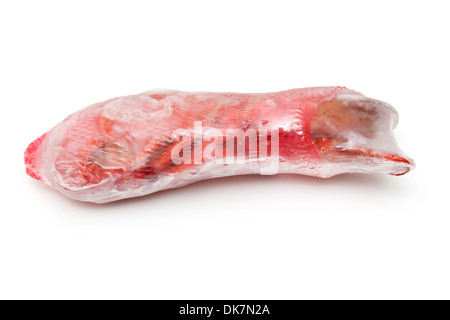 Société canadienne de la cuite congelée ( homard Homarus americanus ) isolated on a white background studio. Banque D'Images