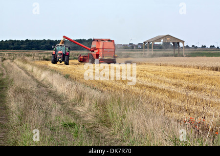 Moissonneuse-batteuse sur champ de chaume s'acquitter au tracteur/remorque Banque D'Images