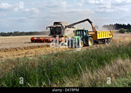 Moissonneuse-batteuse Claas des rejets dans remorque ; Banque D'Images