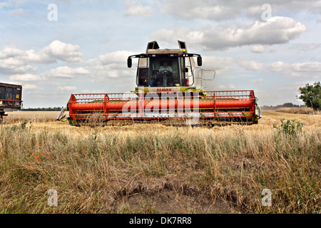 Moissonneuse-batteuse Claas lame close up Banque D'Images