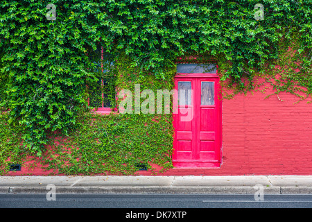 Couvert de lierre mur de brique rouge vif avec une porte rouge vif au centre-ville de Green Cove Springs, en Floride Banque D'Images