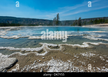 Photographie de l'Artemisia geyser, Parc National de Yellowstone. Banque D'Images