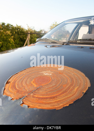 Un très gros patch de rouille sur le capot d'une voiture Peugeot. Banque D'Images