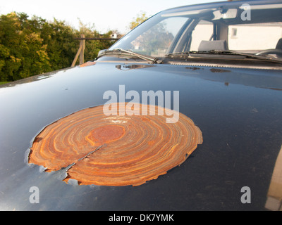 Un très gros patch de rouille sur le capot d'une voiture Peugeot. Banque D'Images