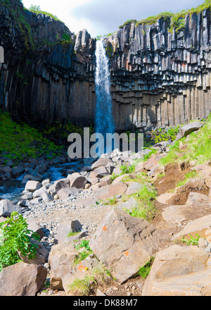 Svartifoss, Cascade, parc national de Skaftafell, l'Islande Vatnajokull Banque D'Images