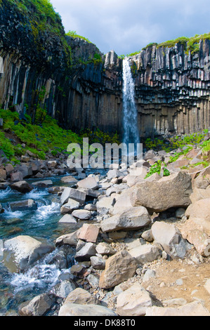 Svartifoss, Cascade, parc national de Skaftafell, l'Islande Vatnajokull Banque D'Images