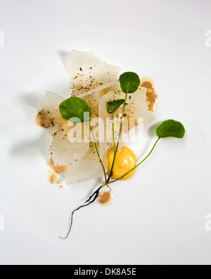 Flétan - groseilles, chou-rave, beurre noir & lait noisette amère au Restaurant AOC, Copenhague, Danemark. Banque D'Images