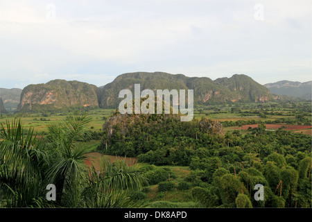 Avis de l'hôtel Los Jazmines, vallée de Viñales, province de Pinar del Rio, Cuba, mer des Caraïbes, l'Amérique centrale Banque D'Images