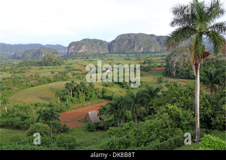 Avis de l'hôtel Los Jazmines, vallée de Viñales, province de Pinar del Rio, Cuba, mer des Caraïbes, l'Amérique centrale Banque D'Images