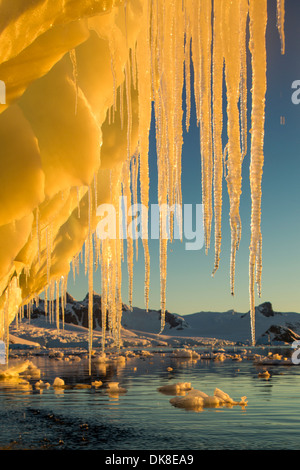 L'Antarctique, l'Île Petermann, réglage des feux de soleil de minuit de glaçons pendant le long Canal Lemaire iceberg massive Banque D'Images