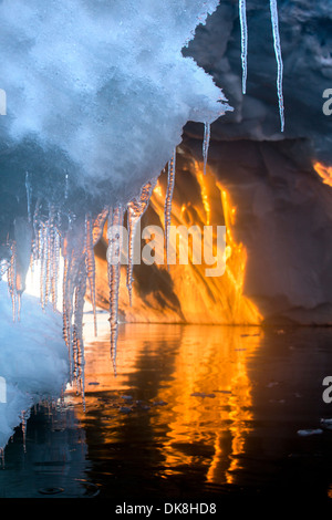 L'Antarctique, l'établissement soleil de minuit Glaçons pendant de feux en arc massif iceberg près de l'Île Petermann Banque D'Images