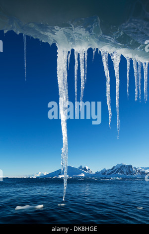 L'antarctique, suspendue au bout d'Icicle melting iceberg près de l'Île Petermann Banque D'Images
