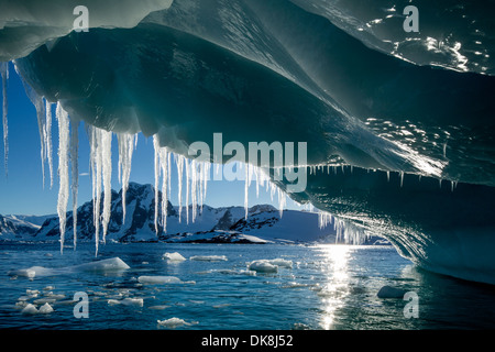 L'antarctique, suspendue au bout d'Icicle melting iceberg Île Petermann par près de Canal Lemaire Banque D'Images