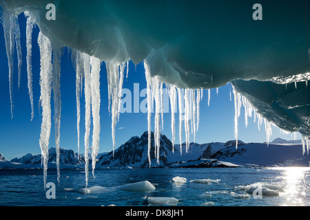 L'antarctique, suspendue au bout d'Icicle melting iceberg Île Petermann par près de Canal Lemaire Banque D'Images