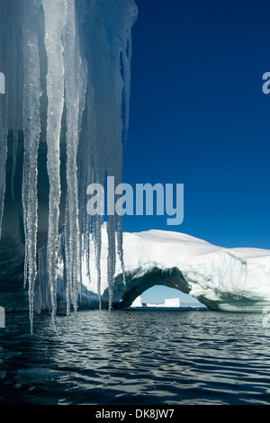 L'antarctique, suspendue au bout d'Icicle melting iceberg Île Petermann par près de Canal Lemaire Banque D'Images