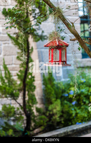 Mangeoire rouge suspendu à Oak tree dans le centre-ville historique de Saint Augustine, Floride Banque D'Images