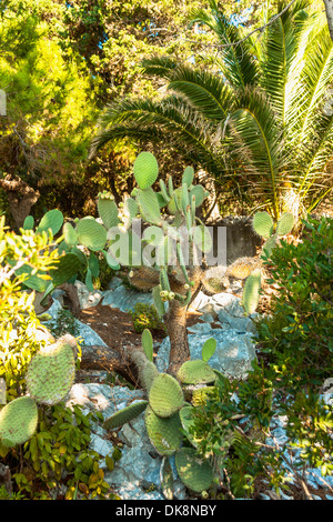 Soeurs de Miséricorde jardin du couvent à Prizba, sur l''île de Korcula, Croatie Banque D'Images