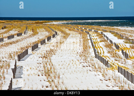 Des barrières pour contrôler l'érosion du sable sur l'île de navire Ouest Gulf Islands National Seashore dans Golfe du Mexique. Banque D'Images