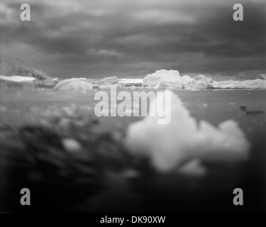 L'Antarctique, l'île de Cuverville, floue image en noir et blanc d'icebergs de la baie de remplissage le long du Canal Errera sur matin ciel couvert Banque D'Images