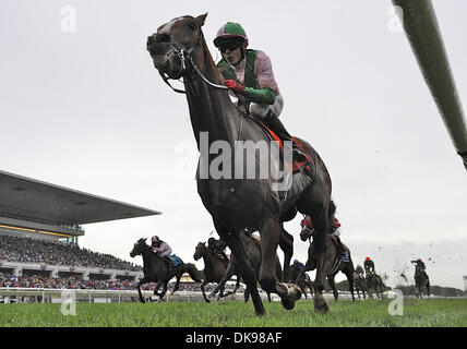 13 août 2011 - Arlington Heights, Illinois, É.-U. - Cape Blanco (no. 7), monté par Jamie Spencer et formés par Aidan O'Brien, gagne la 29e marche de l'Arlington Million de grade 1 Enjeux pour trois ans et au-dessus à Arlington Park. (Crédit Image : © Bob Mayberger ZUMAPRESS.com)/Eclipse/ Banque D'Images