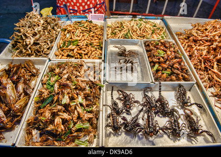 Les insectes frits à la vente au marché de nuit de Chiang Mai, Thaïlande Banque D'Images