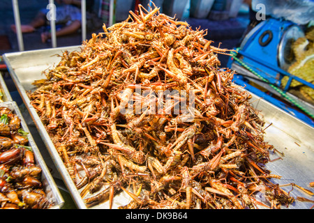 Les grillons frits à la vente au marché de nuit de Chiang Mai, Thaïlande Banque D'Images