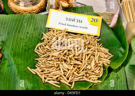 Bamboo frit vers pour vendre au marché de nuit de Chiang Mai, Thaïlande Banque D'Images