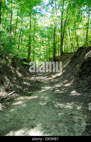 Historique L'Épave trace sur le Natchez Trace Parkway, le Mississippi Banque D'Images