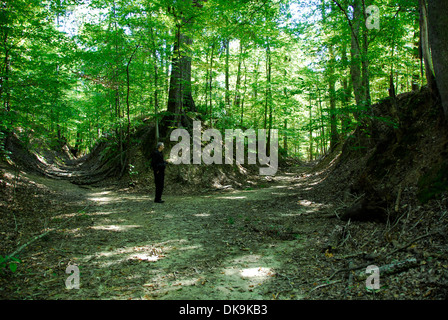 Historique L'Épave trace sur le Natchez Trace Parkway, le Mississippi Banque D'Images