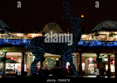 Jardin du couvent des feux du soir, Noël 2013 - Londres Banque D'Images