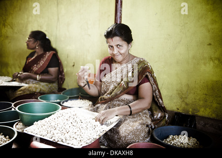 Cajou peler à la main. Kollam, Inde Banque D'Images