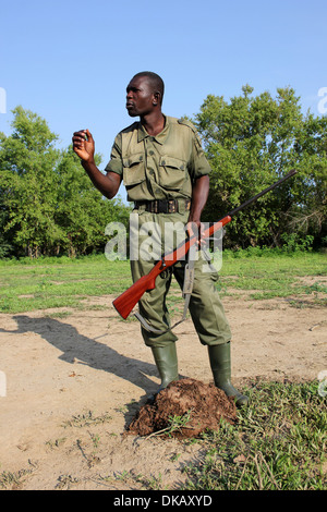 Guide sur Safari à pied Mole National Park Ghana expliquant certaines des propriétés médicinales de bouse d'éléphant Banque D'Images