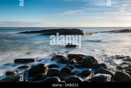 La côte de Northumberland à Cullernose Point Banque D'Images