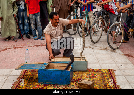 Place Assarag Charmeur de serpent, Place, Taroudant, Maroc Banque D'Images