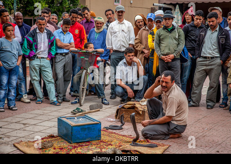 Place Assarag Charmeur de serpent, Place, Taroudant, Maroc Banque D'Images