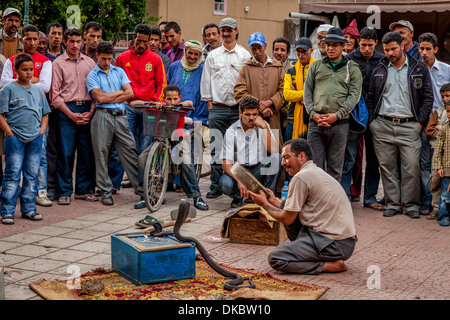 Place Assarag Charmeur de serpent, Place, Taroudant, Maroc Banque D'Images