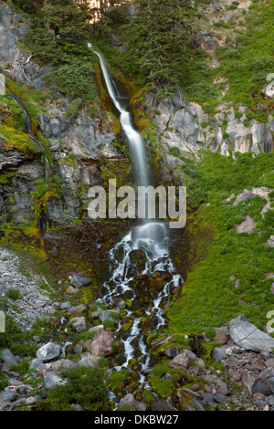 OREGON - Cascade le long de la Pacific Crest Trail au nord de Timberline et Canyon en ZigZag dans la région sauvage de Mount Hood. Banque D'Images