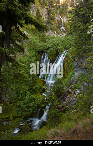 OREGON - Cascade le long de la Pacific Crest Trail au nord de Timberline et Canyon en ZigZag dans la région sauvage de Mount Hood. Banque D'Images