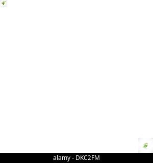 Healthly style vert et logo sur fond blanc. Illustration de Vecteur