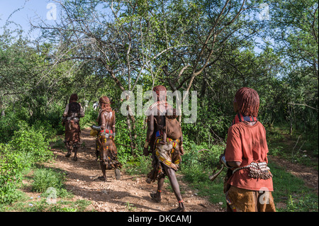 Les gens qui vont à un taureau sautant cérémonie. Un rite de passage des garçons pour les hommes. Tribu Hamer, vallée de l'Omo, Ethiopie Banque D'Images