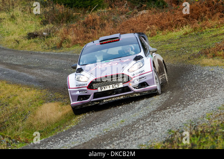 Matthew Wilson - Ford Fiesta R5 Banque D'Images