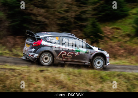 Matthew Wilson - Ford Fiesta R5 Banque D'Images