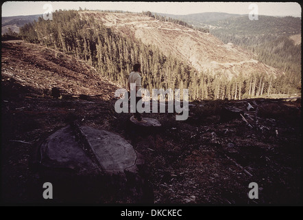L'image montre un paysage après des opérations de coupe à blanc, où seules des souches d'arbres restent sur les pentes. Cela illustre les conséquences environnementales de telles pratiques d'exploitation forestière. Banque D'Images