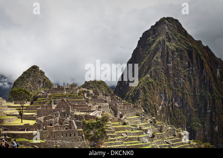 Machu Picchu, Pérou Banque D'Images
