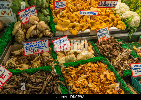 Les champignons sauvages à la vente sur le marché de Pike Place en novembre, Seattle, Washington State, USA Banque D'Images