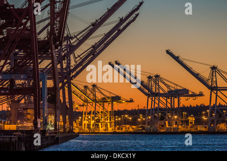 Les grues de bornes 46 et 18 au Port de port de Seattle, Seattle, Washington State, USA Banque D'Images