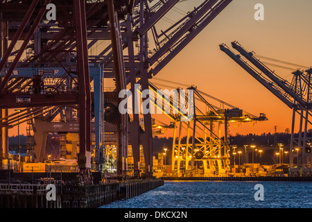 Les grues de bornes 46 et 18 au Port de port de Seattle, Seattle, Washington State, USA Banque D'Images