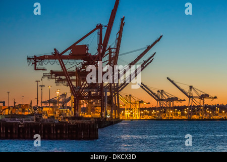 Les grues de bornes 46 et 18 au Port de port de Seattle, Seattle, Washington State, USA Banque D'Images