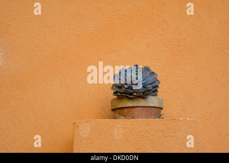 France, Provence, Bormes-les-Mimosas. Plante succulente en face de mur en terre cuite pâle. Banque D'Images