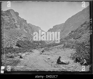 Willard Canyon, montagnes Wasatch. Box Elder Comté (Utah) 516757 Banque D'Images